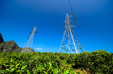 Power Tower in tea estate