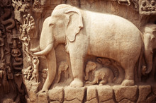 Stone Bas Relief Fragment With Elephant. India