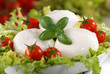 © al62 - mozzarella di bufala italiana con pomodorini di pachino