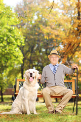 Sticker - Confident senior gentleman sitting on a bench with his dog