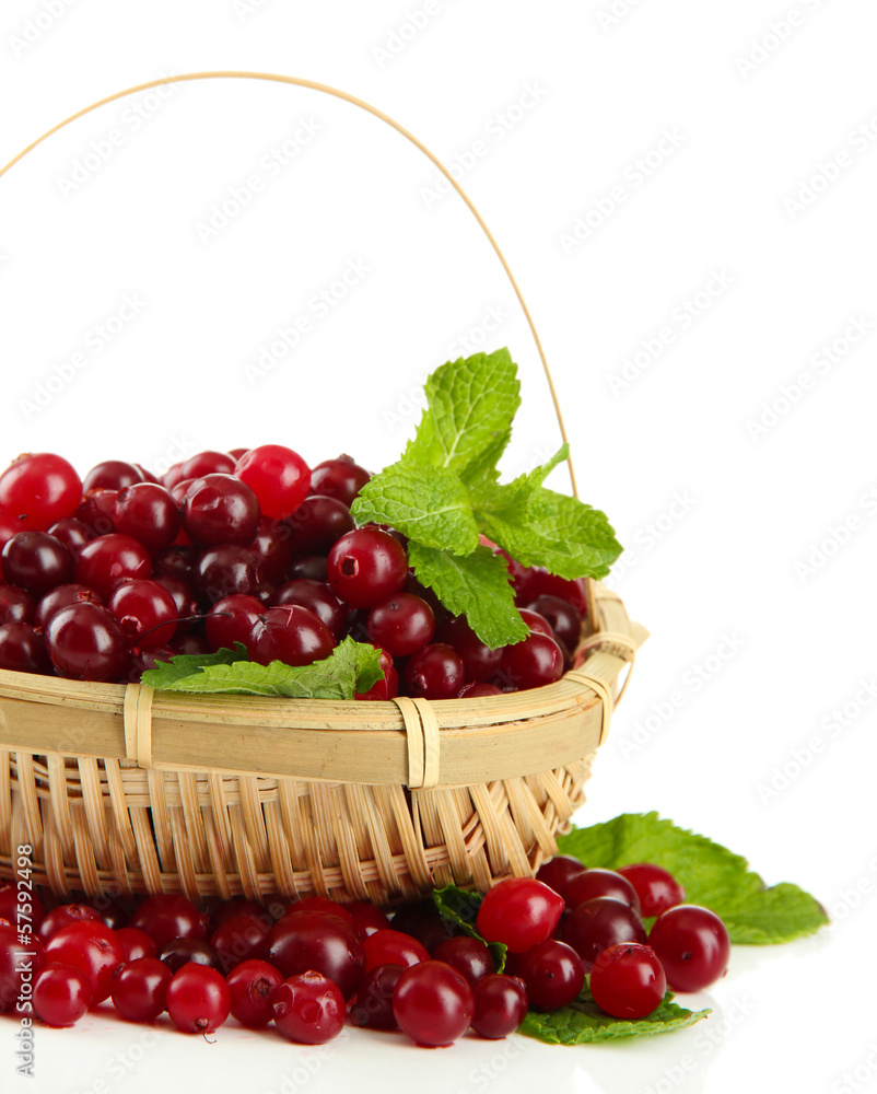 Ripe red cranberries in basket, isolated on white.