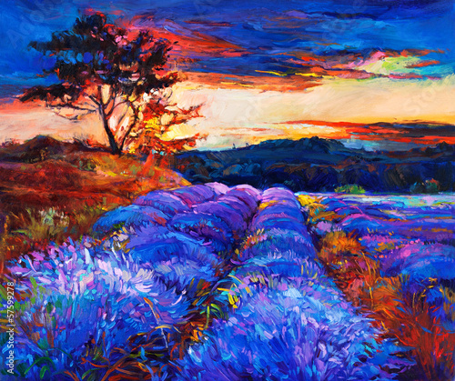 Fototapeta na wymiar Lavender fields