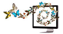 Butterfly Flying Out From Computer