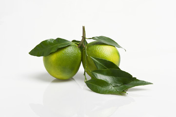 two green apples 4