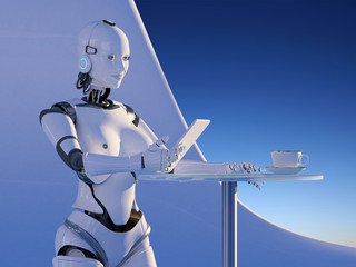 Poster - The  robot