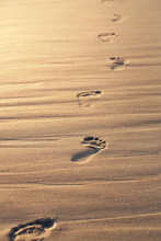 Close Up Of Footprints On The Beach Sand At The Sunset With Copy