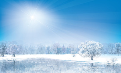 Wall Mural - vector winter landscape, sunny day.