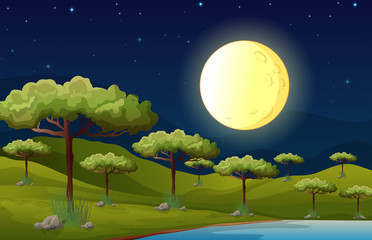 Wall Mural - A bright fullmoon lighting the forest