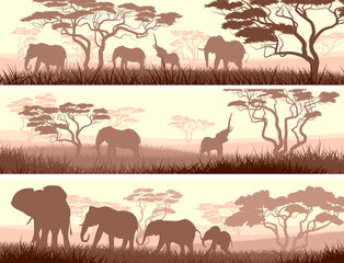 Wall Mural - horizontal banners of wild animals in african savanna.