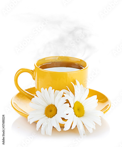 Fototapeta do kuchni fresh tea camomile flowers