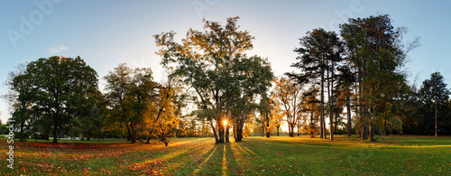 Plakat na papierze fotorealistycznym Jesienny park - panorama ze słońcem
