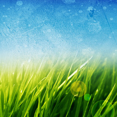 Sticker - green grass background