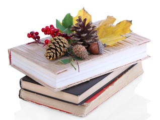 Fototapete - Books and autumn leaves isolated on white