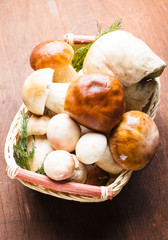 Sticker - Ceps in the basket