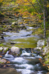 Wall Mural - Fall Colors on Luarel Creek