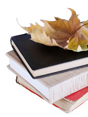Fototapete - Books and autumn leaf isolated on white