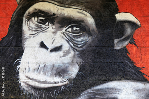 chimpanzé graffiti 0527f © txakel