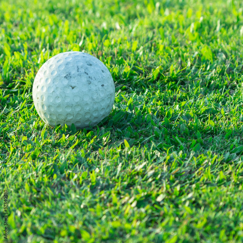 Obraz na płótnie canvas czteroczęściowy "tetraptyk" Piłka golfowa na trawie na polu golfowym.