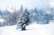 © Melinda Nagy - Christmas background with snowy firs