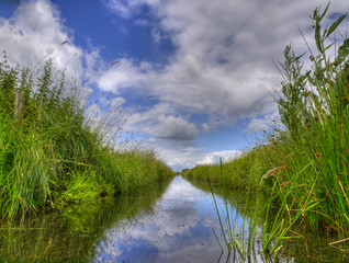 Poster - Freshwater ditch in dutch conservation area