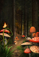 Enchanted Nature Series - Mushrooms Path