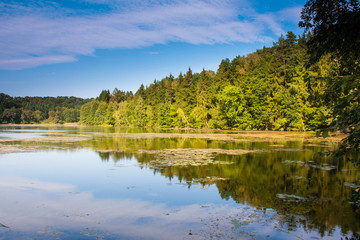 Lake and mirror of trees