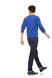 © Viorel Sima - back view of a walking casual man looking to a side
