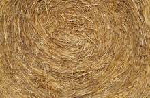 Detail Of Texture Straw Ball