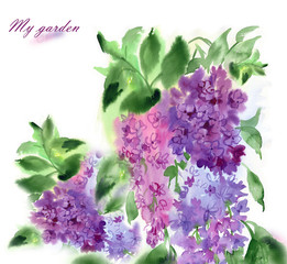 Wall Mural - Watercolor bouquet of lilacs