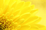 160_f_57915870_hi3x9lsycekx7bqgohmoqj5531ah0gxy