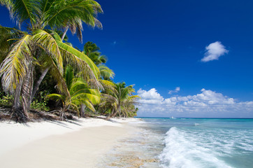 Canvas Print - tropical beach