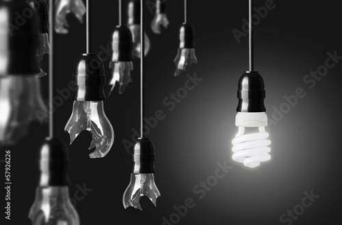 Fotografie, Obraz idea concept with broken bulbs and one glowing bulb
