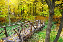 Wooden Bridge In The Autumn Forest
