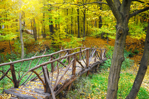 Obraz w ramie Wooden bridge in the autumn forest