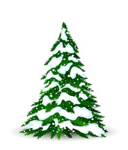 Christmas Tree In Winter, Vector Card For Design