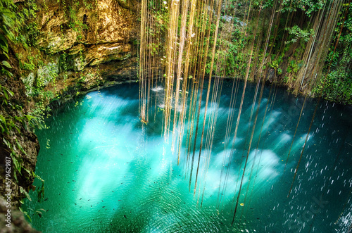Board z aluminiowym obramowaniem Wiszący korzenie w ik-kil cenote blisko Chichen Itza, Mexico