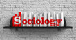 © tashatuvango - Sociology. Education Concept.