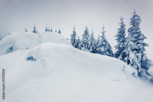 Board z aluminiowym obramowaniem Zimowy