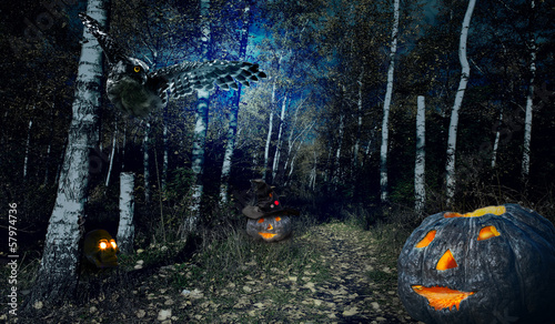 Board z aluminiowym obramowaniem Las halloweenv