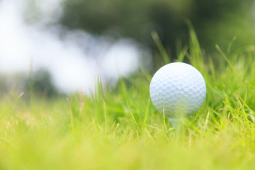 Wall Mural - Golf ball on tee