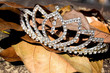 Imitation Diamond Tiara On Bed Of Fallen Leaves
