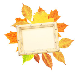 Sticker - Autumn leaves and wooden frame