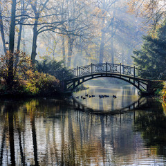 Poster - Autumn - Old bridge in autumn misty park
