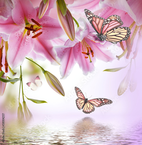 Naklejka samoprzylepna Wielobarwne lilie i motyl na ciemnym tle