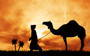 Wall Mural - camel in the desert