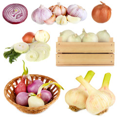 Wall Mural - Collage of onion and garlic isolated on white