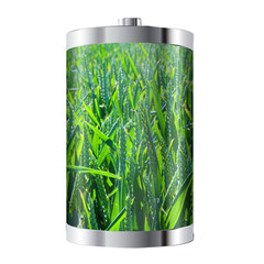 Wall Mural - wheat field battery