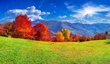 Colorful Autumn Panorama Of The Mountains
