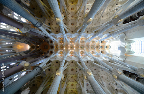Fotografia Sagrada Familia ceiling by Antoni Gaudi,Barcelona