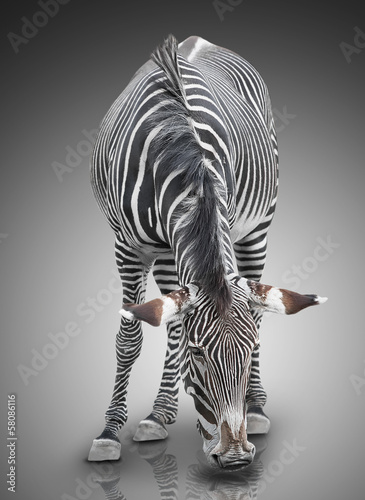 Board z aluminiowym obramowaniem Zebra